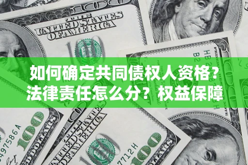 北京如何确定共同债权人资格？法律责任怎么分？权益保障技巧揭秘！
