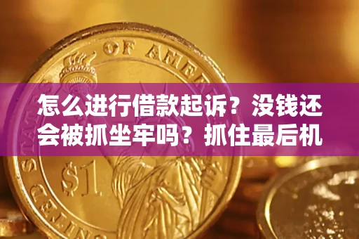 北京怎么进行借款起诉？没钱还会被抓坐牢吗？抓住最后机会！
