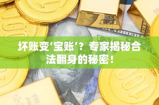 北京坏账变‘宝账’？专家揭秘合法翻身的秘密！