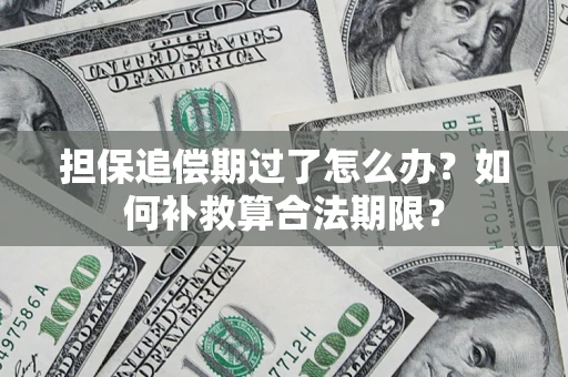 北京担保追偿期过了怎么办？如何补救算合法期限？