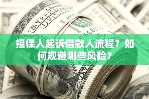 北京担保人起诉借款人流程？如何规避哪些风险？