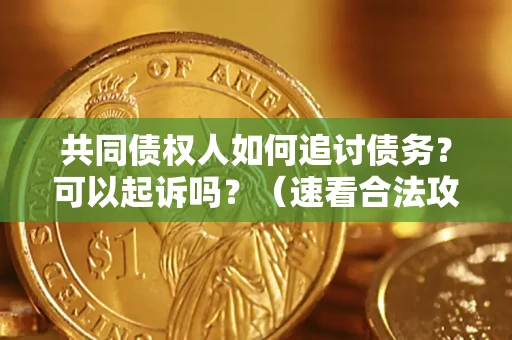 北京共同债权人如何追讨债务？可以起诉吗？（速看合法攻略）