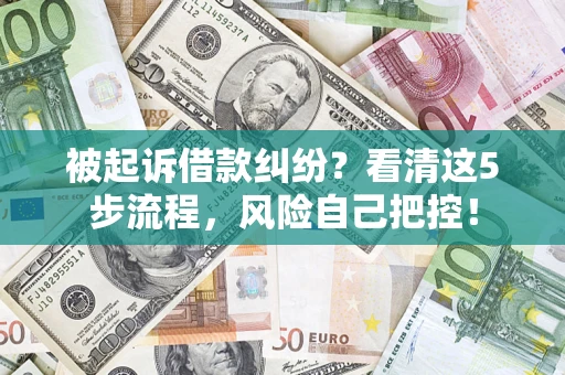 北京被起诉借款纠纷？看清这5步流程，风险自己把控！